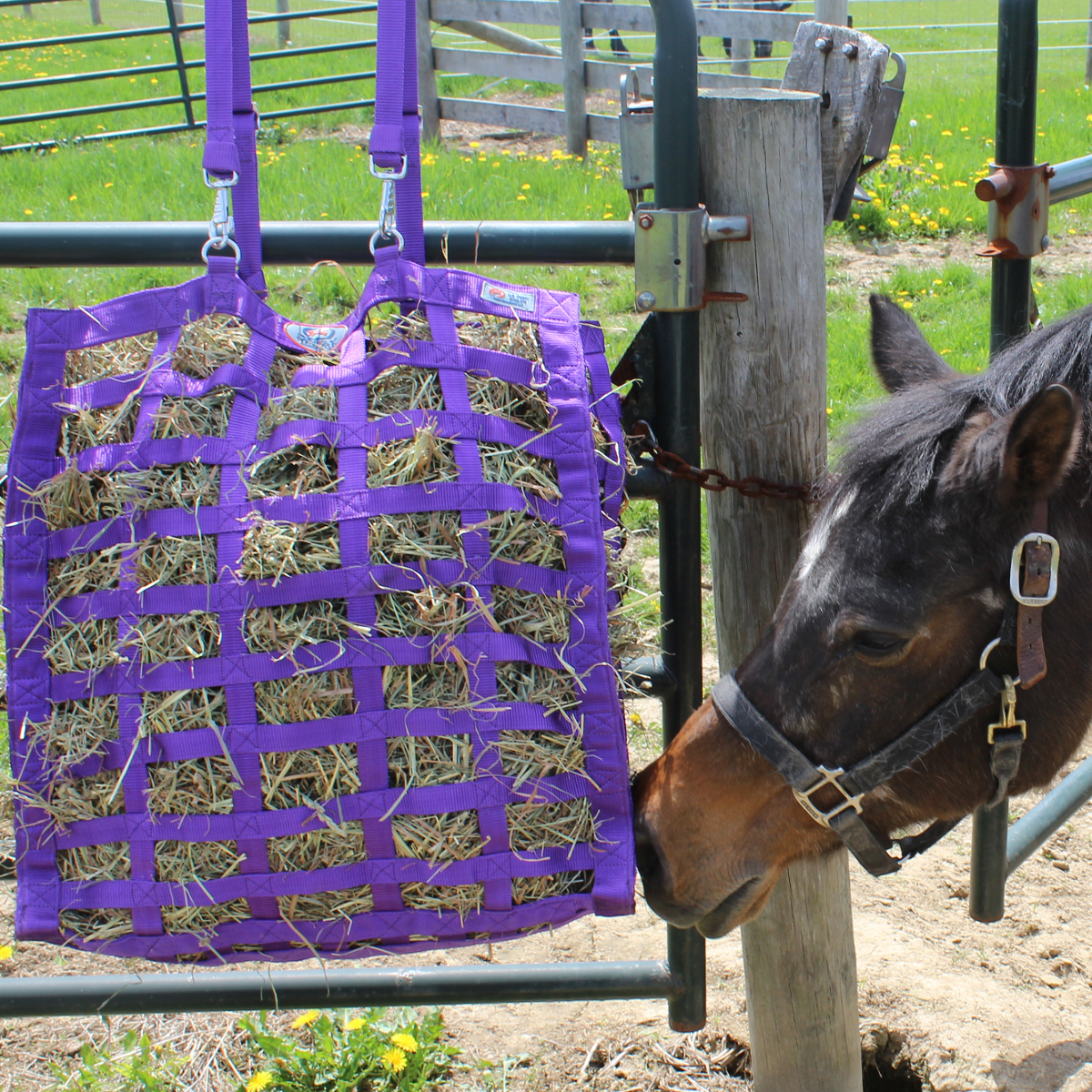 Hay Nets & Bags Derby Originals Hay Net 42" Barn Horse Animals Stable