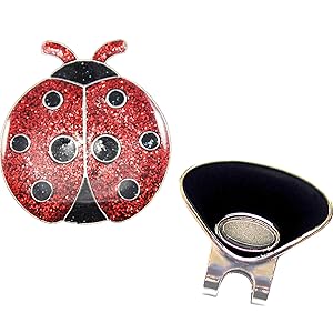 CL004-Ladybug2