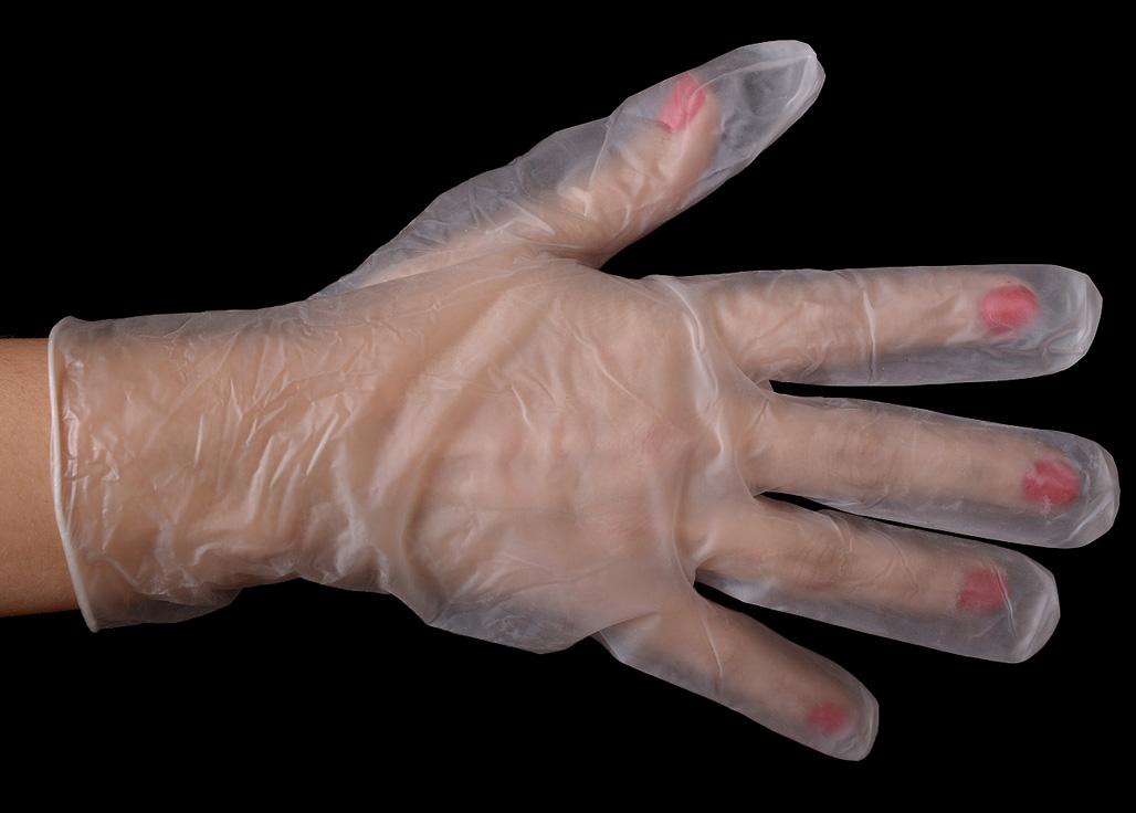 Daxwell Vinyl Glove, Powder Free, Large, Clear (Box of 100) Amazon.ca