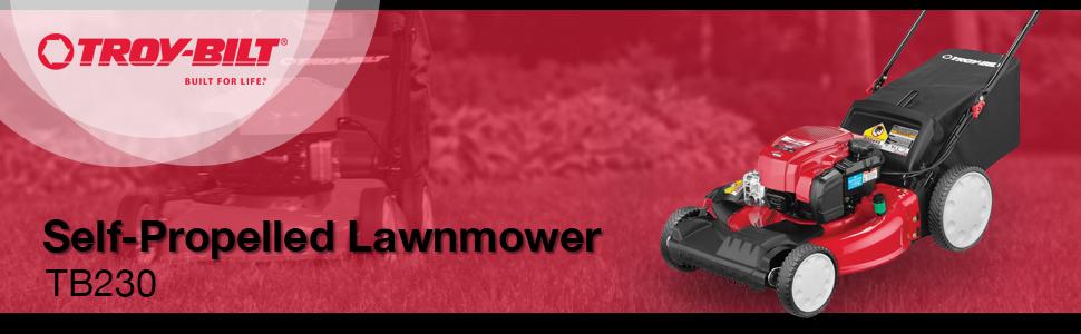 Troy Bilt Tb230 Carburetor Diagram - Wiring Diagram Database