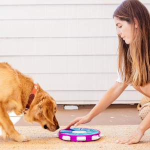 Nina Ottosson by Outward Hound Dog Puzzle Games