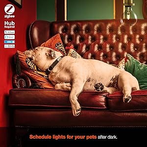 Small manufacture image 2