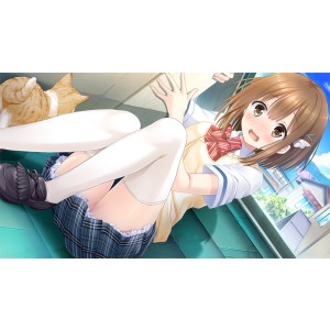 ラブクリア　完全生産限定版 - PS4 (描き下ろしタペストリー「英梨と小羽の南国リゾートで心も体も開放B2タペストリー」、特製イラスト Amazon.co.jp: ラブクリア 完全生産限定版 - PS4 (【特典】描き