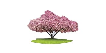 Amazon.com: Madd Capp: I Am Cherry Blossom - 1000 Piece Tree