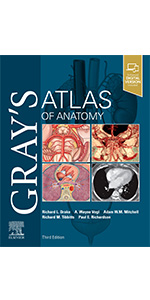 Amazon.com: Gray's Basic Anatomy: 9780275970987: Drake PhD