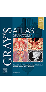 gray's atlas of anatomy