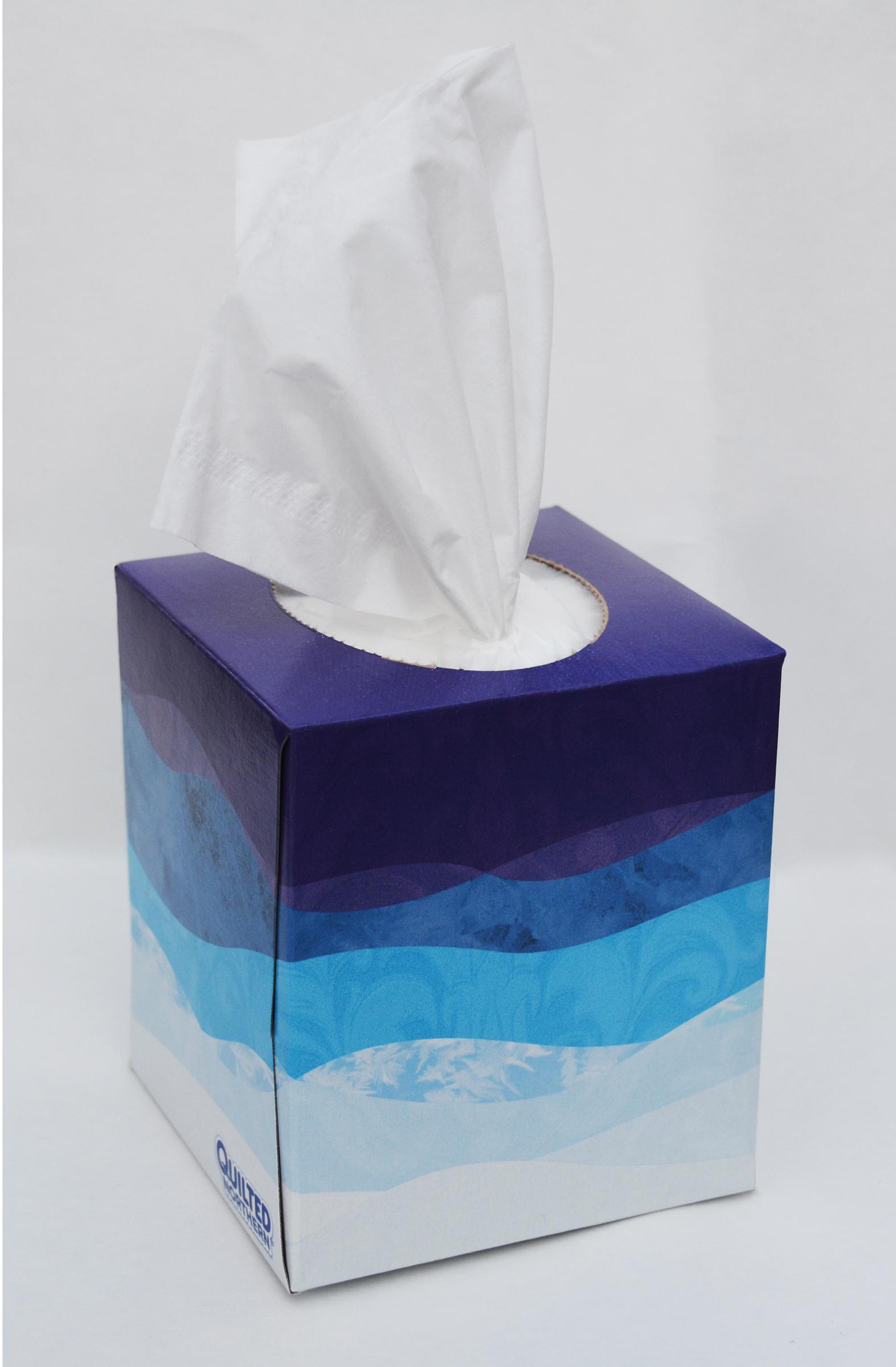 Quilted Northern 3PLY Ultra Facial Tissue (16 Cube Boxes) Amazon.ca