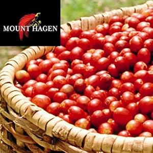 マウントハーゲン オーガニック フェアトレード カフェインレスインスタントコーヒー・自然なカフェイン除去プロセスで香りそのままカフェイン99.7%カット 100グラム (x 1) 2275d431 097e 4a0a Af03 F4b7c3238f97. SR300,300