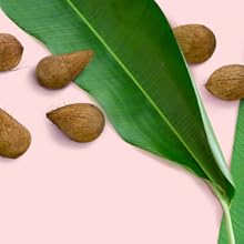 love beauty and planet,condicionador,manteiga de murumuru,rosas,curls intensify,cacheado,crespo