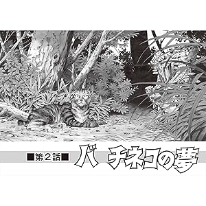 あきたこまち物語(作画) (矢口高雄)コレクション品 講談社 矢口高雄 蛍雪時代 豪華版 全5巻 セット - メルカリ