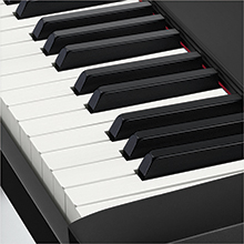 Scaled Hammer Action Keyboard II