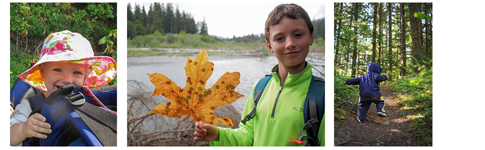 family hikes, WTA, Washington hikes for kids, short hikes, washington hiking, short trails