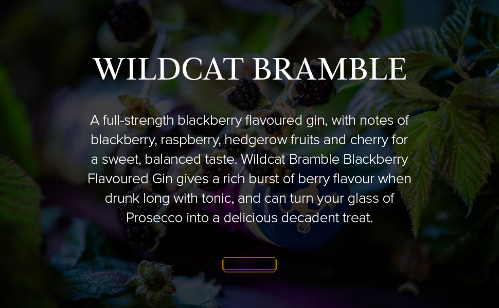 Wildcat Gin Bramble Blackberry Flavoured Gin, 1L Amazon Exclusive