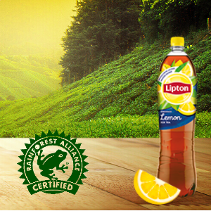 Rainforest Alliance 