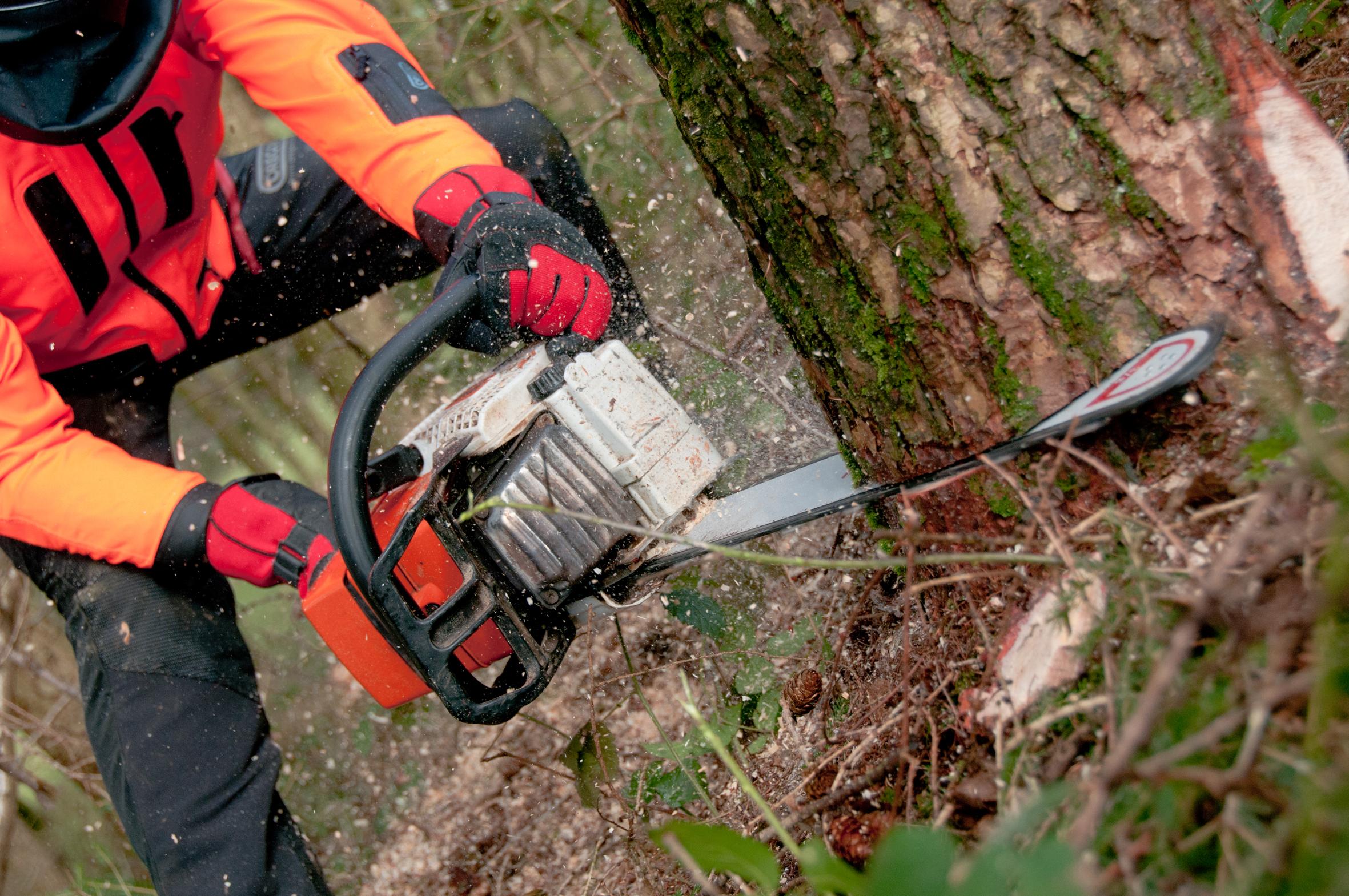 Oregon Saw Chain to fit 14Inch Stihl Chainsaws, 50 Drive Links Amazon