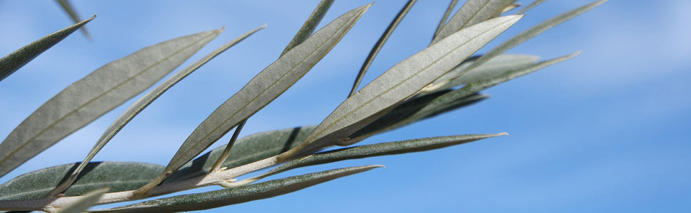 Small manufacture image 7