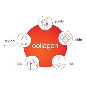 skin, hair, nails, blood, joint