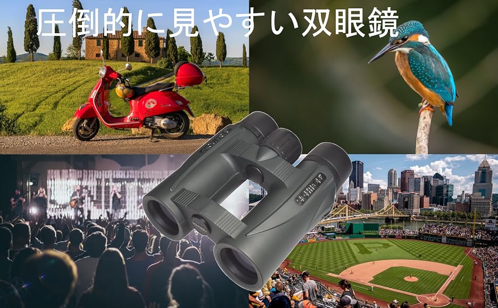 SIGHTRON 双眼鏡 ダハプリズム 10倍32mm口径 完全防水 SII BL1032 SIB23‐0096 Amazon | SIGHTRON 双眼鏡 ダハプリズム 10倍32mm口径 完全防水