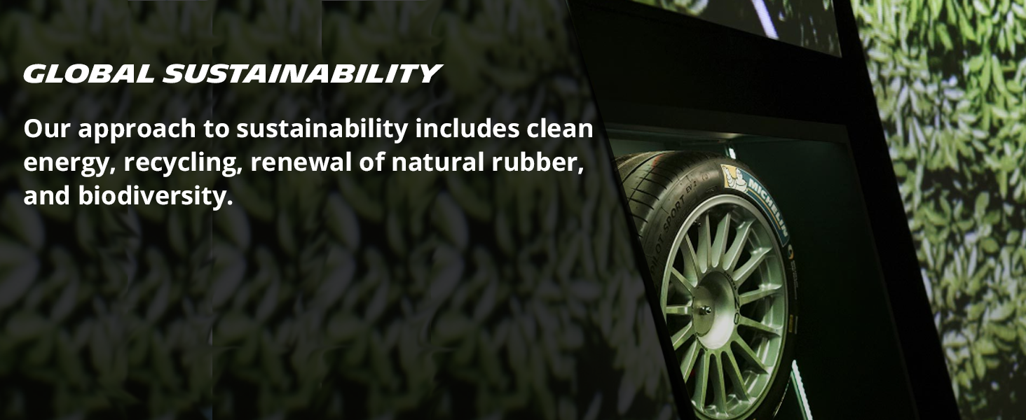 Global Sustainability