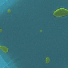 Small manufacture image 6