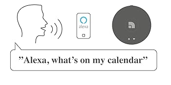 Audio Pro Control Smartphone iPhone Android App Voice Command Alexa Smart Speaker Streaming Music