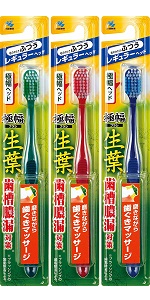 Amazon.co.jp: 生葉(しょうよう) 45°磨きブラシ 歯ブラシ 歯周