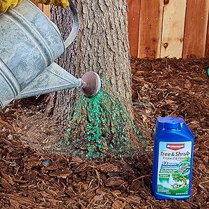 Small manufacture image 6