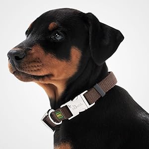 Stabiles Aluminiumhalsband für Rottweiler-Welpen in Braun