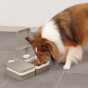 dog pet cat food bowl feeder automatic 2 two meal petsafe