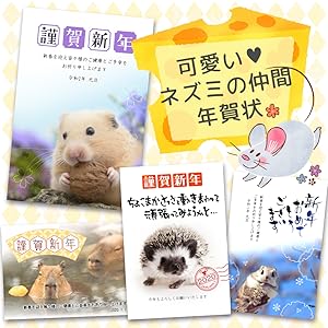 豪華金箔年賀状付き 年賀状dvd Rom イラスト 令和子年版 インプレスムック インプレス年賀状編集部 本 通販 Amazon 豪華金箔年賀状付き 年賀状dvd Rom イラスト 令和子年版 インプレスムック インプレス年賀状編集部 本 通販 Amazon