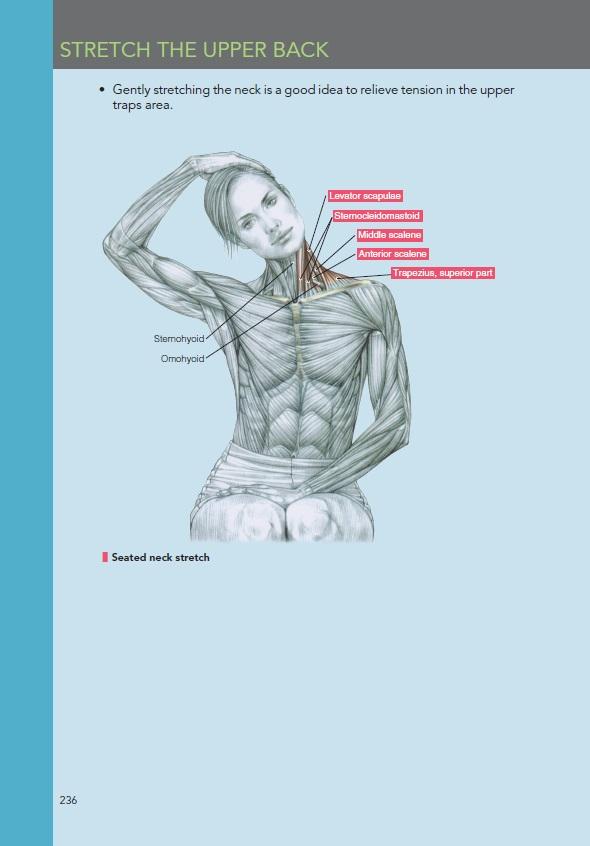 Delavier's Women's Strength Training Anatomy Workouts Delavier, Frederic, Gundill, Michael