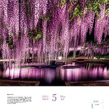 5月　春のカーテン