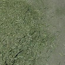 Amazon Extolevel エクストレベル Premium Mix プレミアムミックス 1番刈チモシー X アルファルファ 混合牧草 500g 1番刈チモシー アルファルファ混合牧草 Extolevel エクストレベル フード 通販