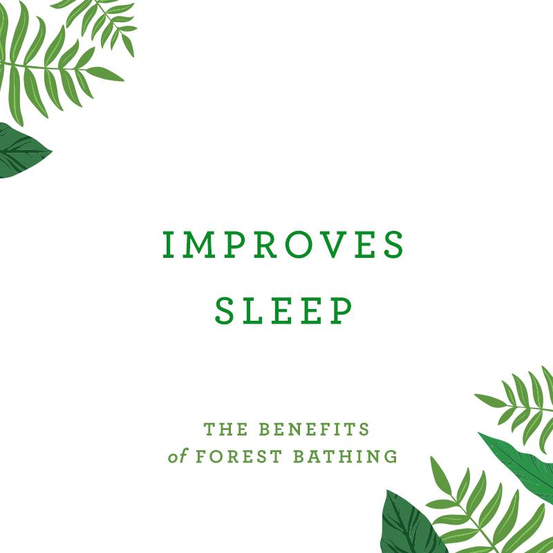 Forest Bathing How Trees Can Help You Find Health and Happiness Li