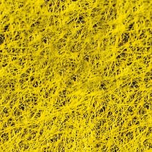 Biofunctional