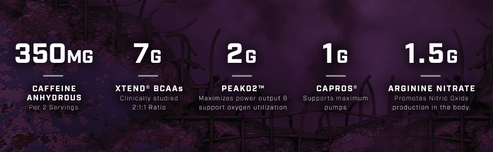 Scivation Quake 10 0 Pre Workout Mind And Body Fitness