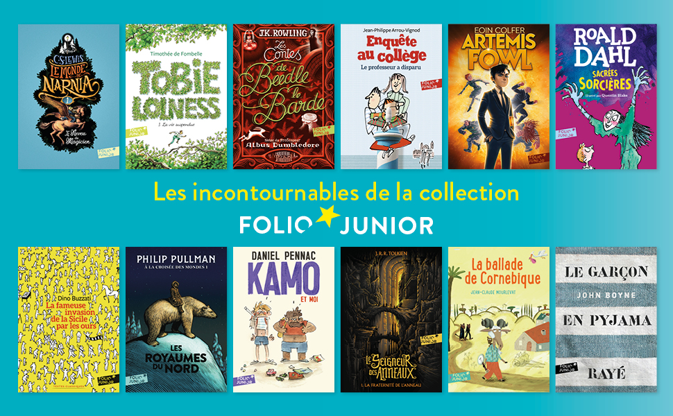 Résumé Du Livre Le Journal D'adèle Amazon.fr - Le journal d'Adèle - Folio Junior - A partir de 11 ans
