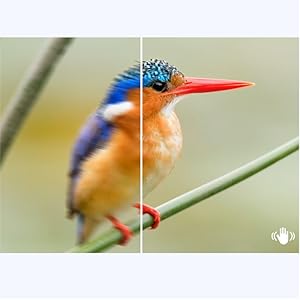 Capture smooth, blur-free images