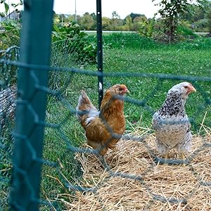 Small manufacture image 4