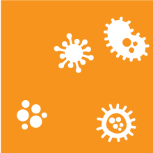 germs