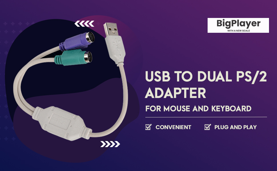 BigPlayer PS2 Active Adapter USB Type A Male to PS 2 Pin Female (White