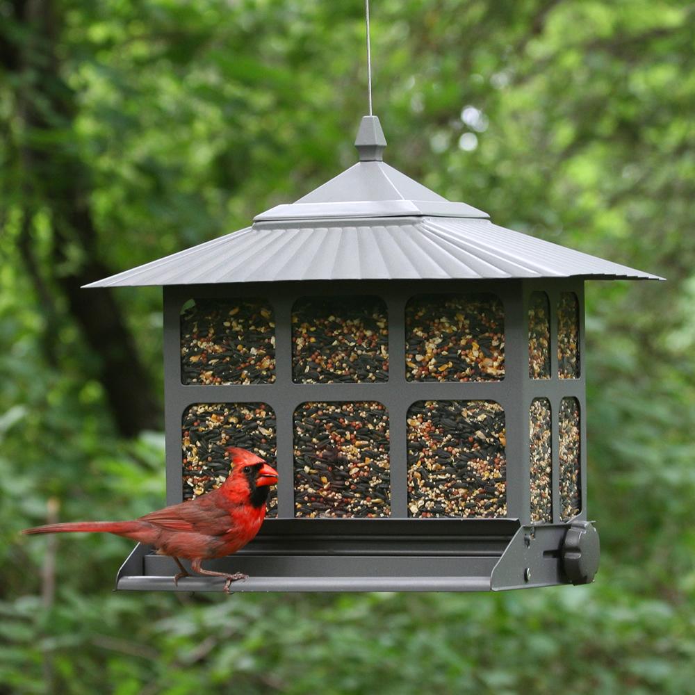 PerkyPet SquirrelBeGone II Wild Bird Feeder 351 Pet