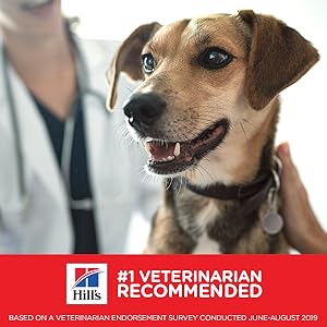 Hill's Science Diet Adult Sensitive Stomach & Skin Small Bites Dog Food - 4 lb 21 Recommended