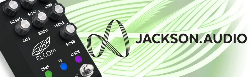 Amazon.com: Jackson Audio Bloom v2 Midi Black Optical