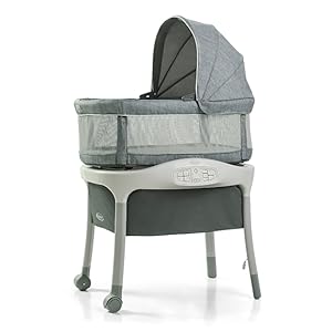 motion bassinet