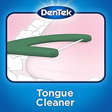 Dentek Fresh Clean Floss Picks