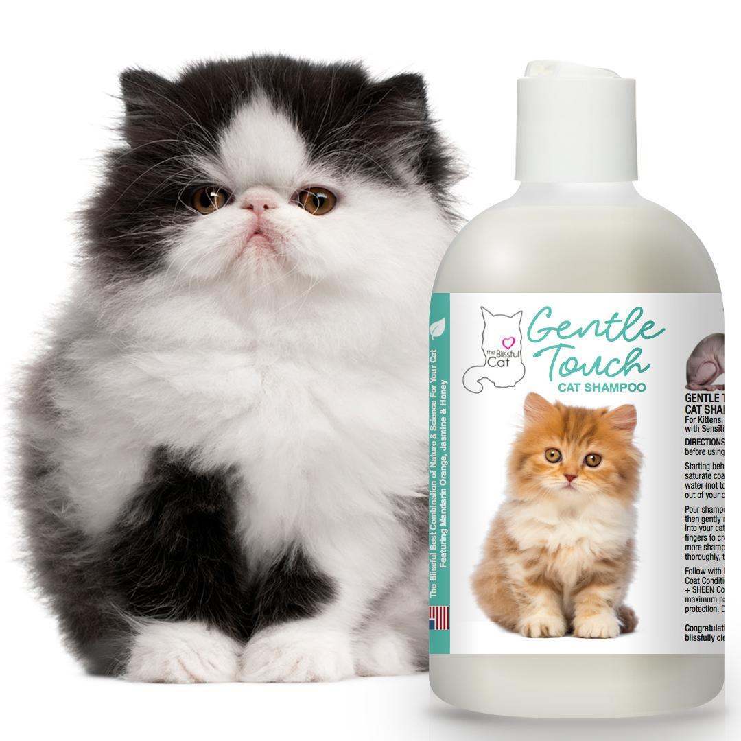 The Blissful Dog Gentle Touch Cat Shampoo, 8Ounce Pet
