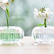 Amazon.co.jp: アッシュコンセプト (h concept) プラスディー(+d