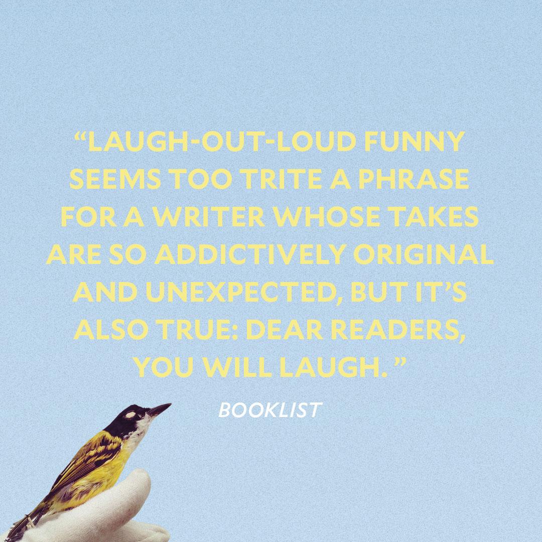 Sloane crosley essay picture