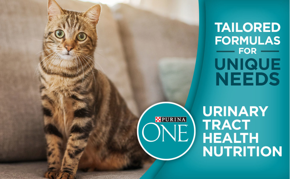 Purina ONE Dry Cat Food, Urinary Tract Health Formula, 16Pound Bag